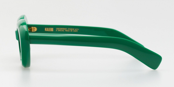 СОЛНЦЕЗАЩИТНЫЕ ОЧКИ Kaleos Eyehunters Tercell C-004